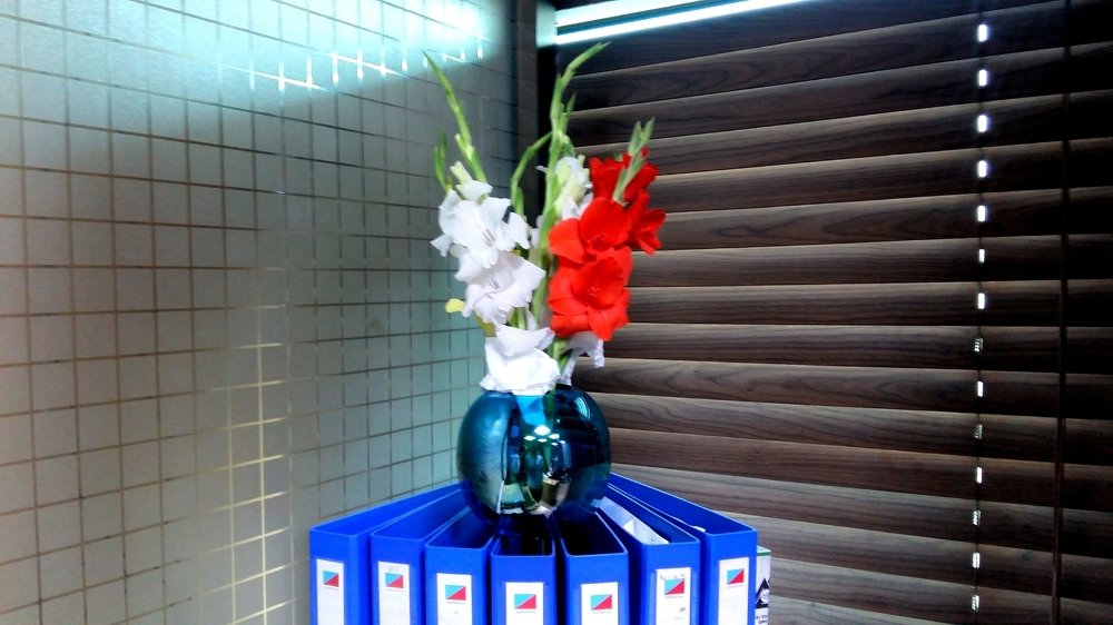 Colours of Office
