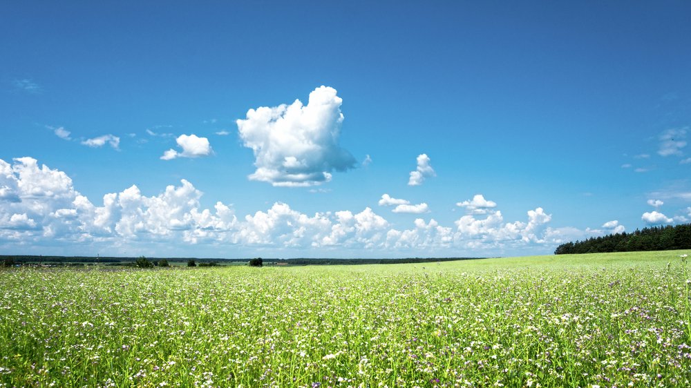 На просторах