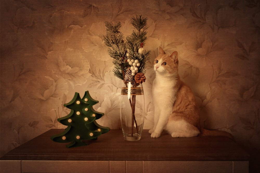 Photograph by Юлия Шестопалова