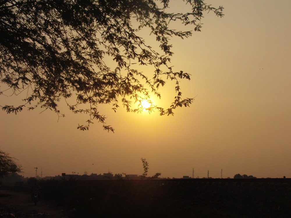 Sunsets
