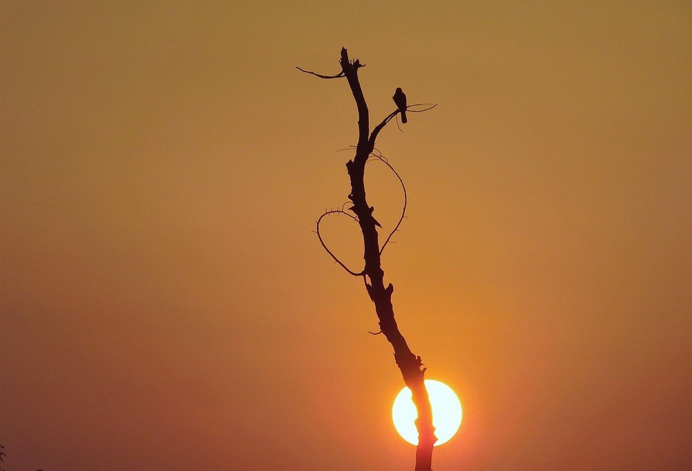 Sunsets