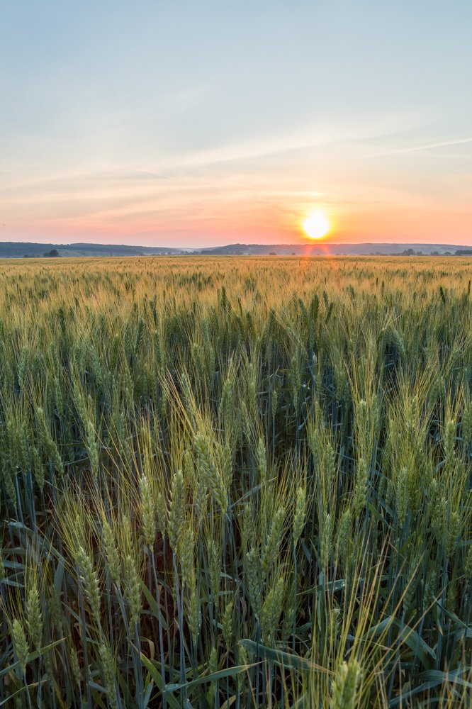 Photograph by Антон Кривошейцев