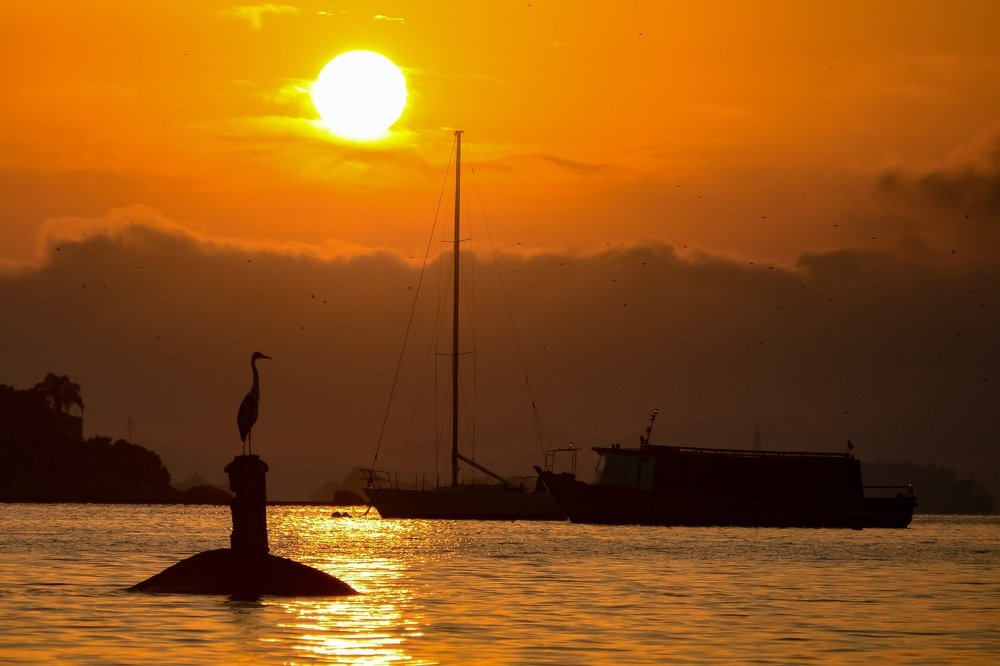 Photograph by Andre Nunes