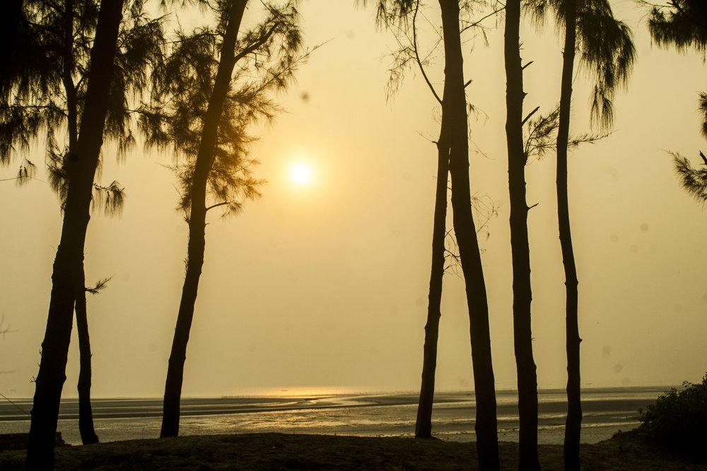 When the Sun Goes Down!