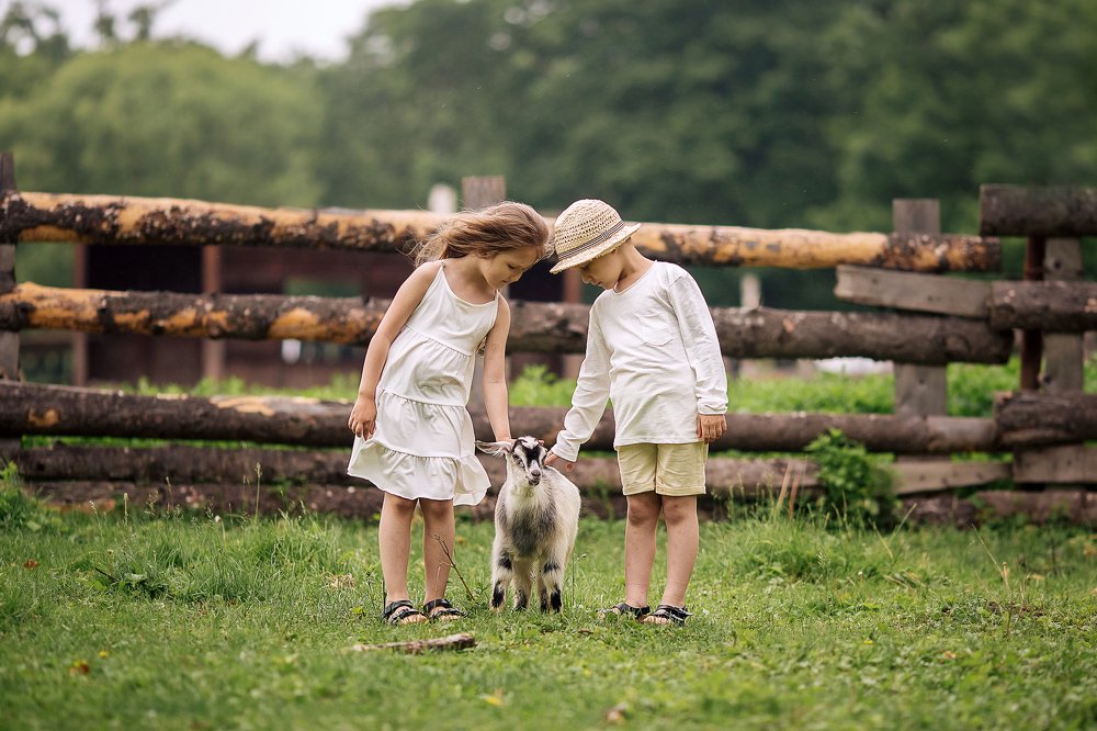 Photograph by Ольга