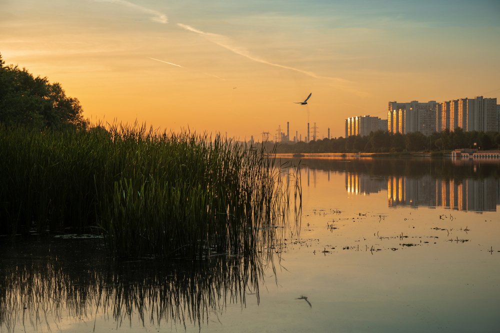 Урбанистический рассвет