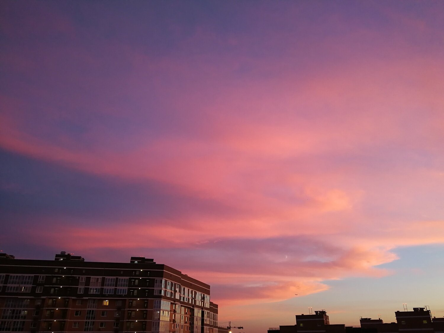 Photo #3302580