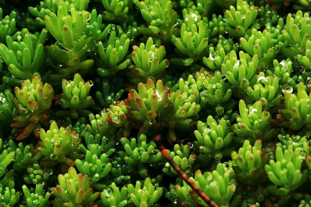 Фотография автора Дмитрий Караваев