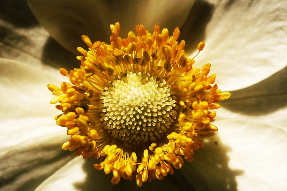 Фотография автора Дмитрий Караваев