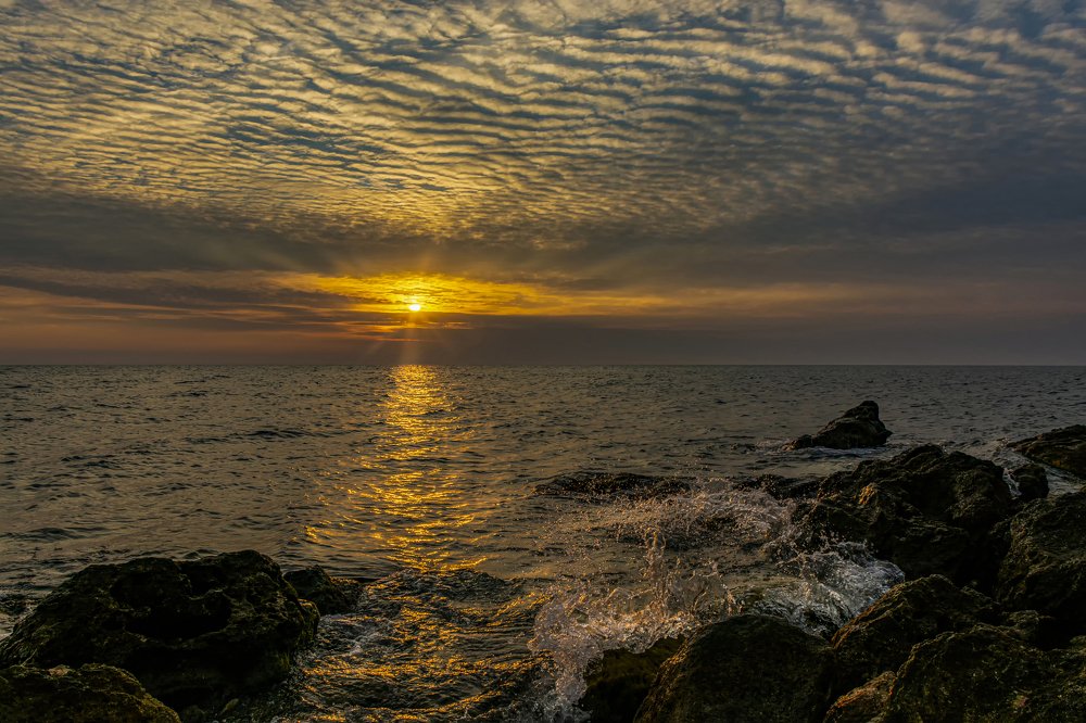 Photograph by Александр Пушкарев