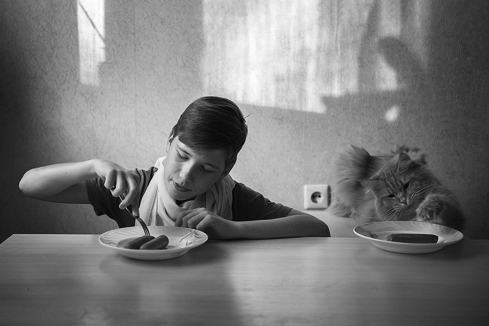 Два товарища