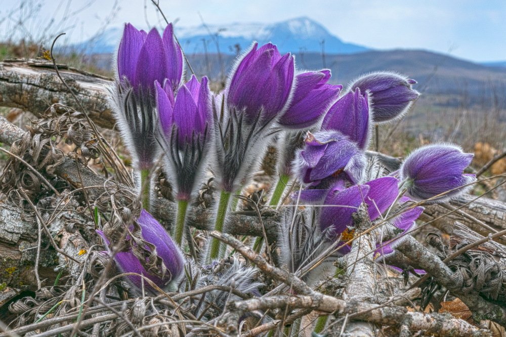 На фоне Чатыр-Дага