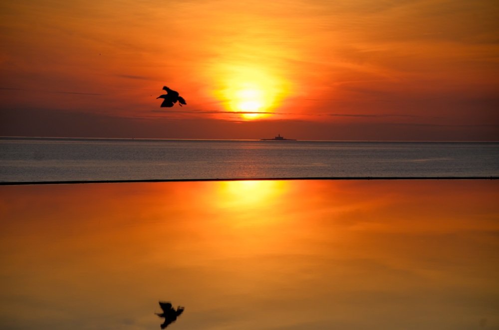 Flying in the sunset