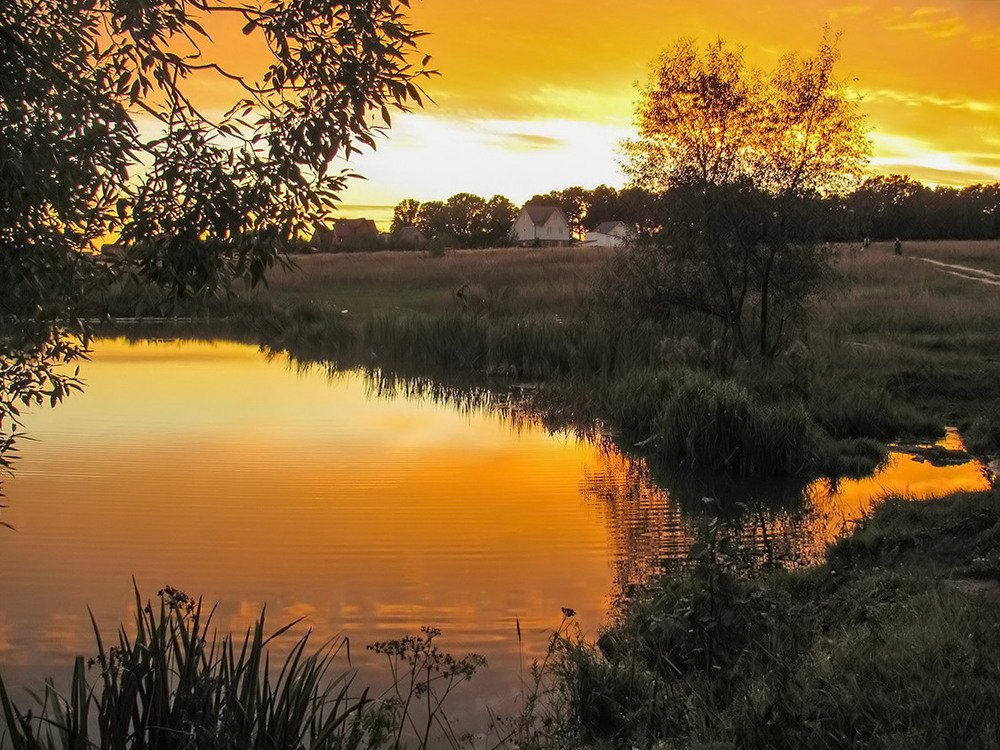 Оранжевый закат