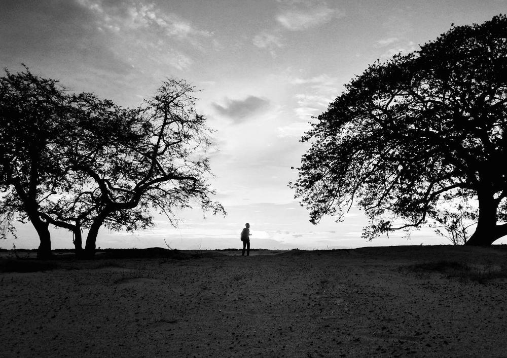 A man in center of the tree