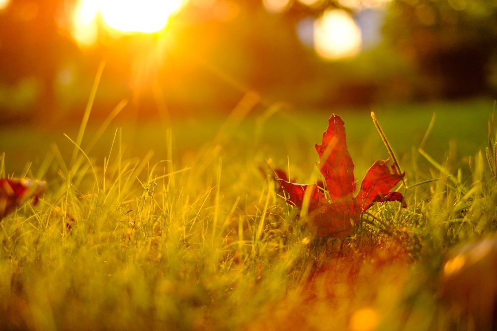 Photograph by Павел Синегубов