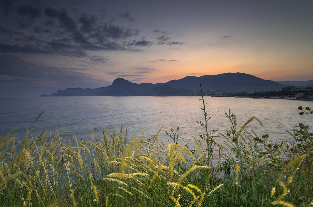 Фотография автора Светлана Морозова