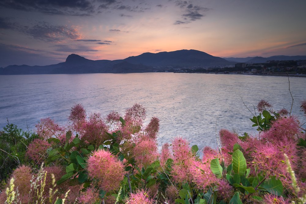 Фотография автора Светлана Морозова