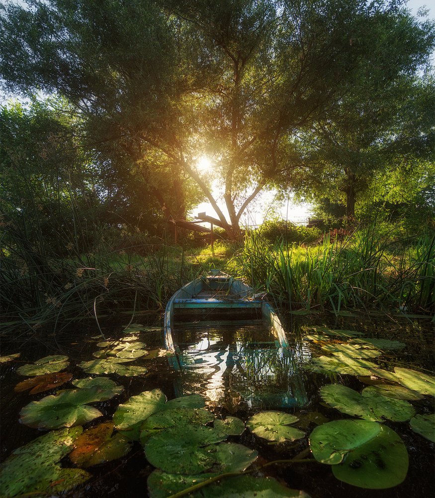 Утренний свет на Усманке, село Новая Усмань