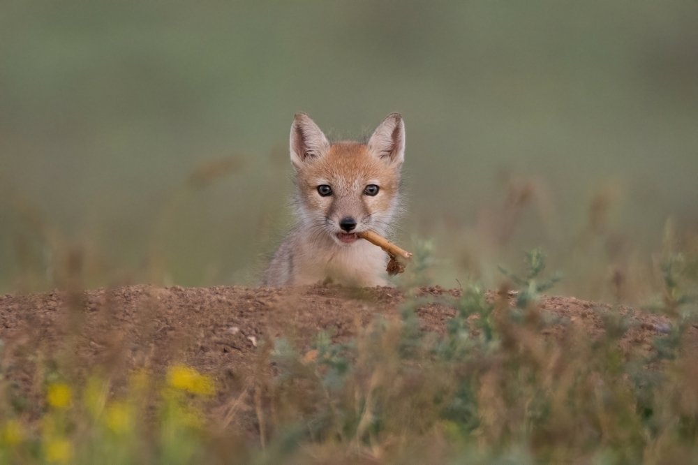 Огоньку не найдется? / Does anyone have a spark?
