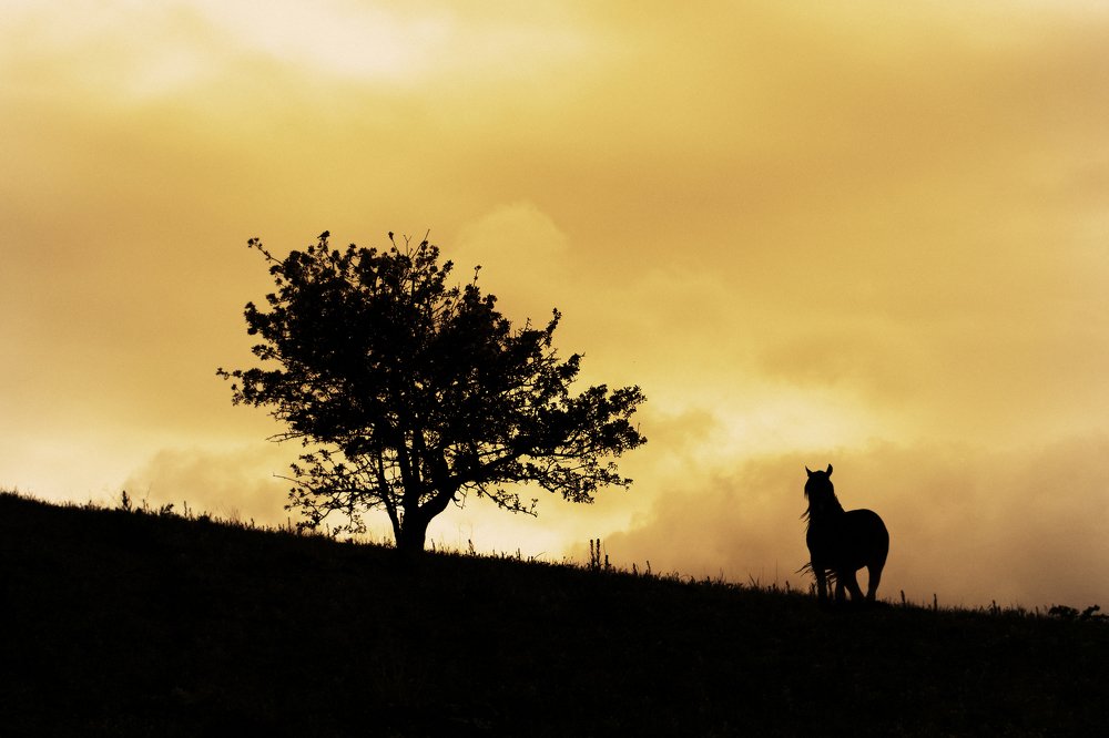 Sunrises and sunsets