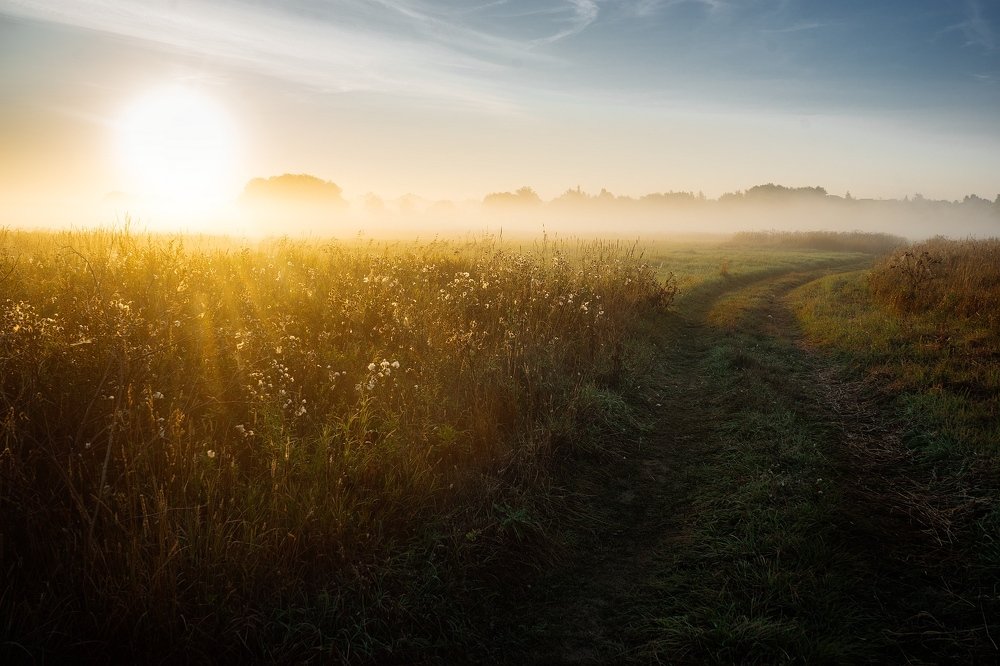 Утро Августа