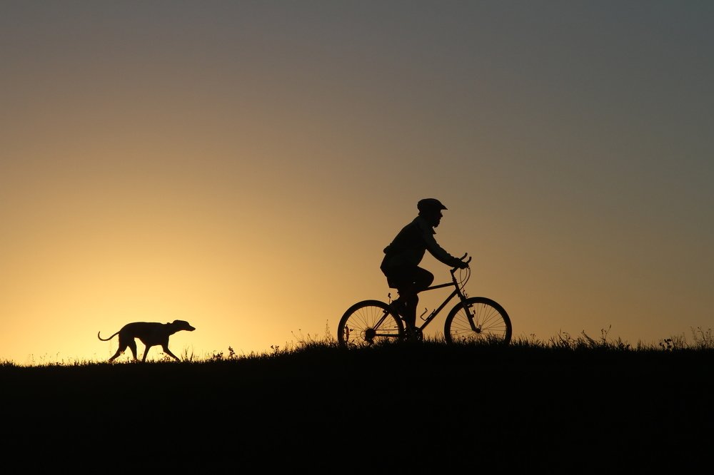 Прогулка на восходе