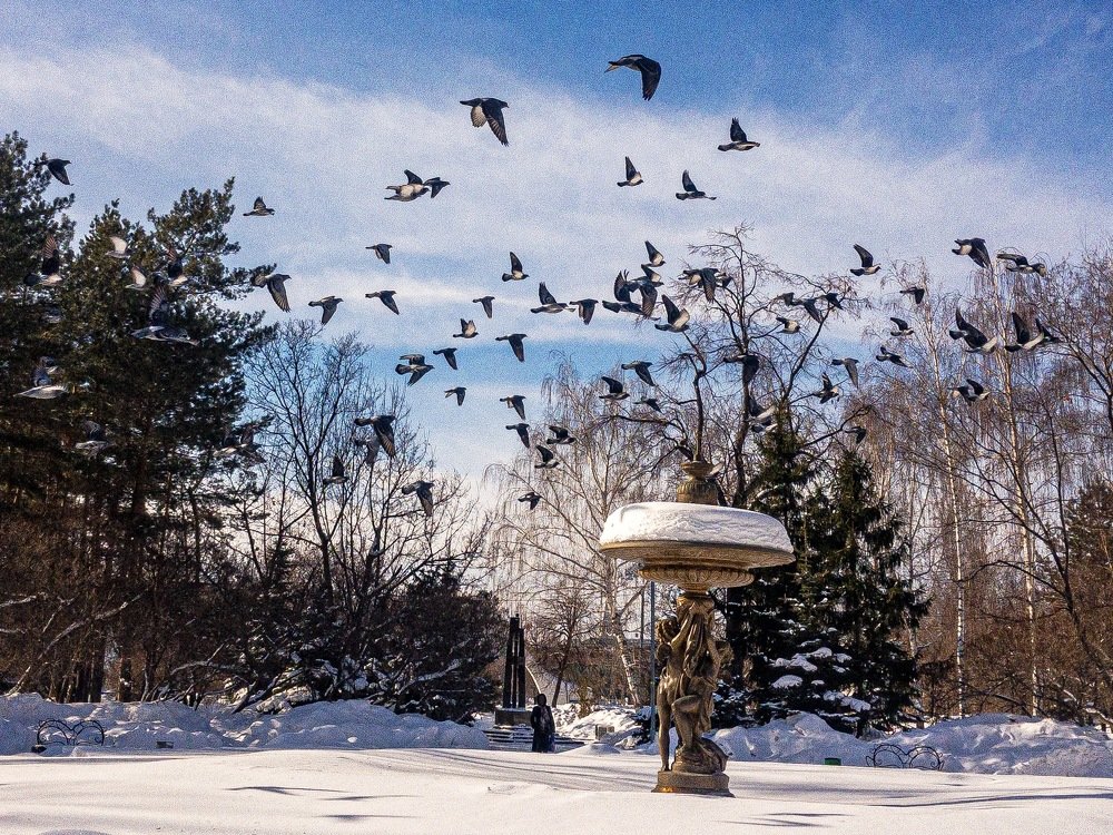 Photograph by Наталья Белова