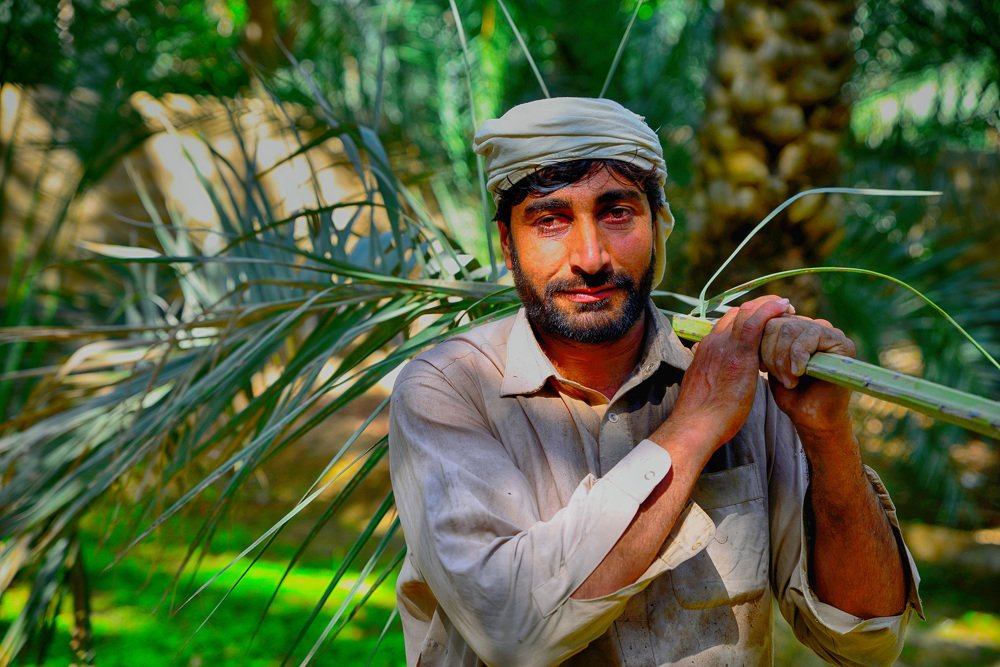 Labours Life and Loving work