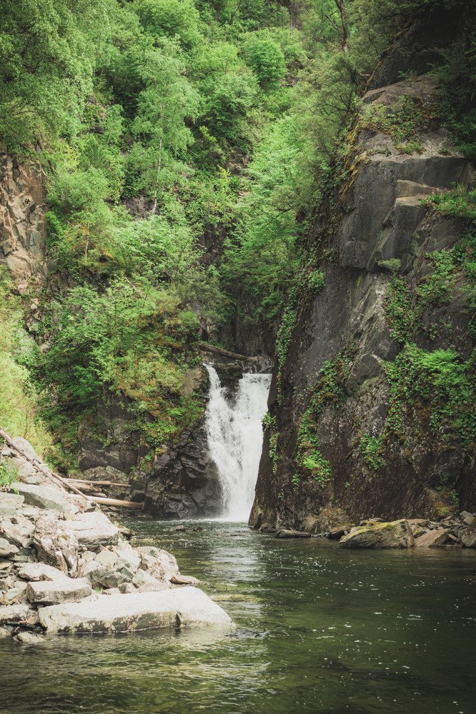 Photograph by Терентьев Георгий