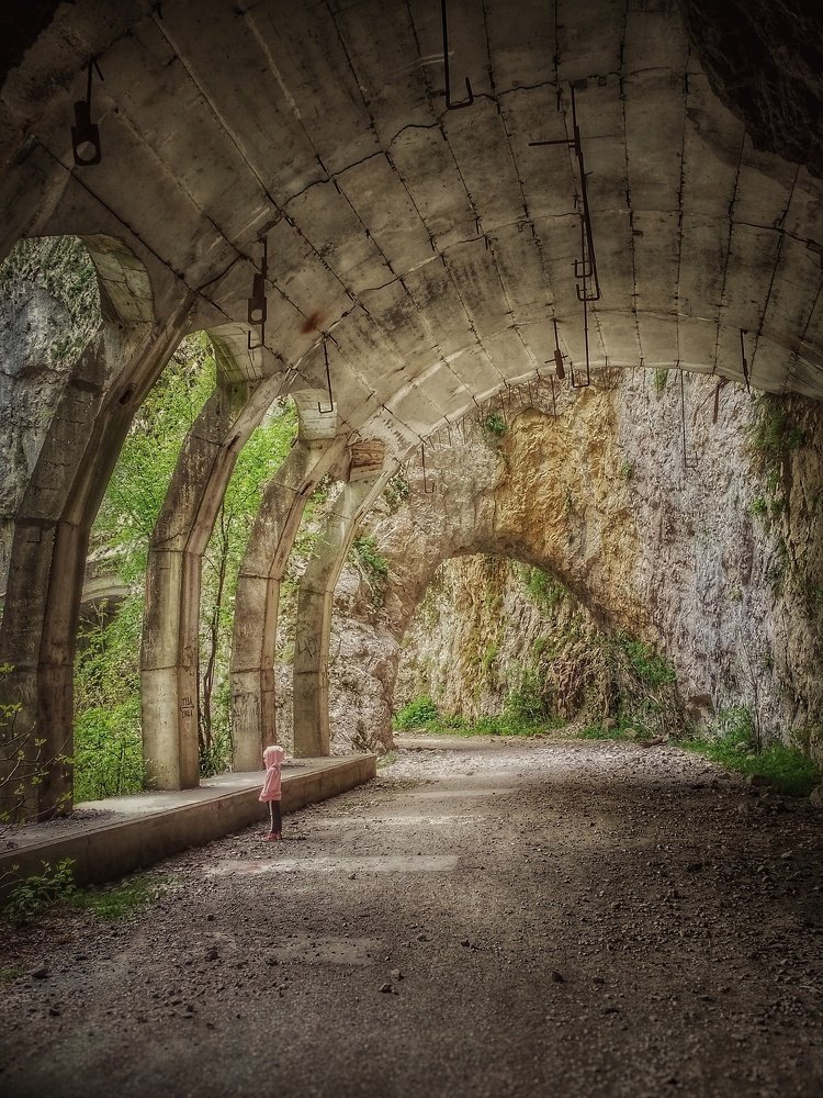 Photograph by Дмитрий Шмарёв