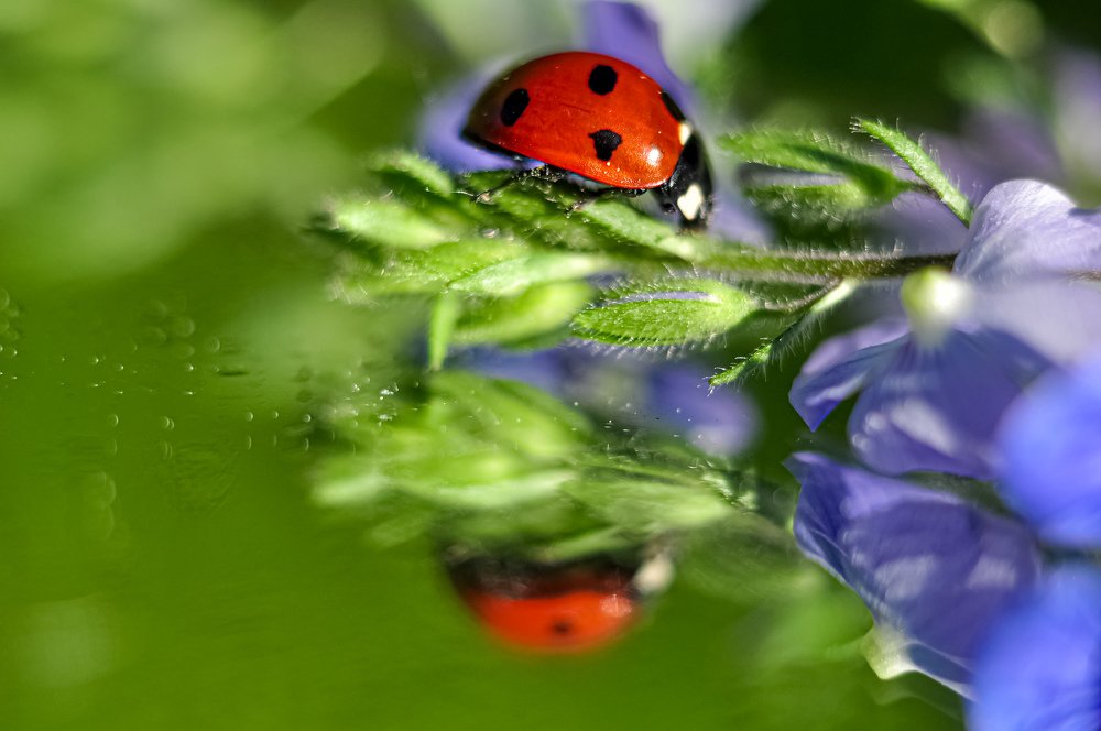 Без фильтров