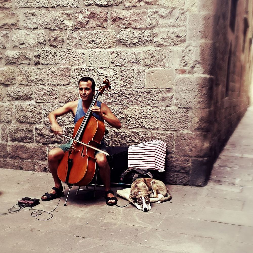 Фотография автора Sordia Tako