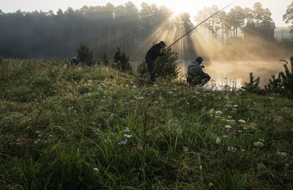 Августовские туманы и рассветы