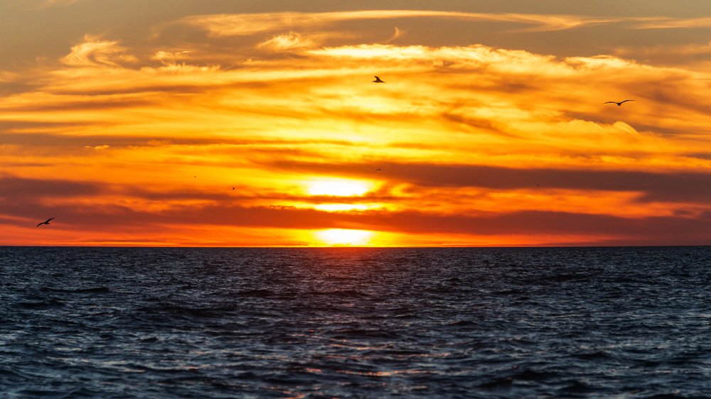 Закат на озере Зайсан