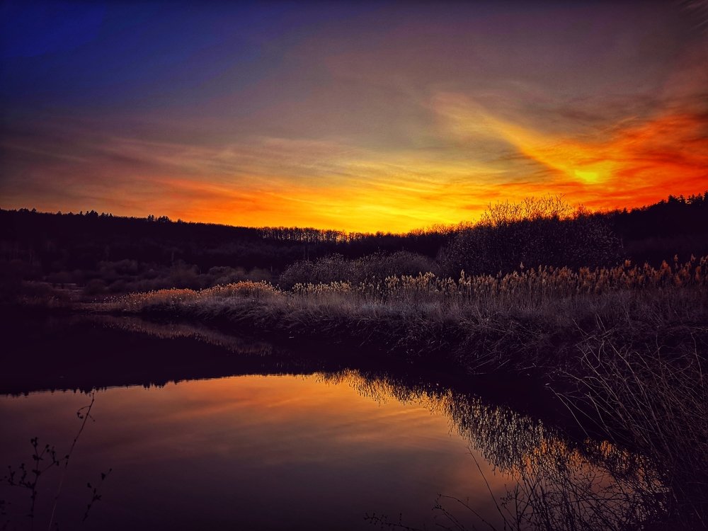 Закат на лесном озере