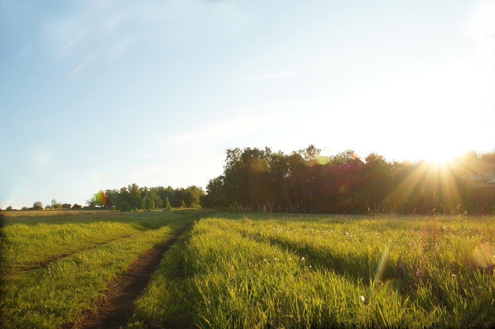 Вечерний пейзаж