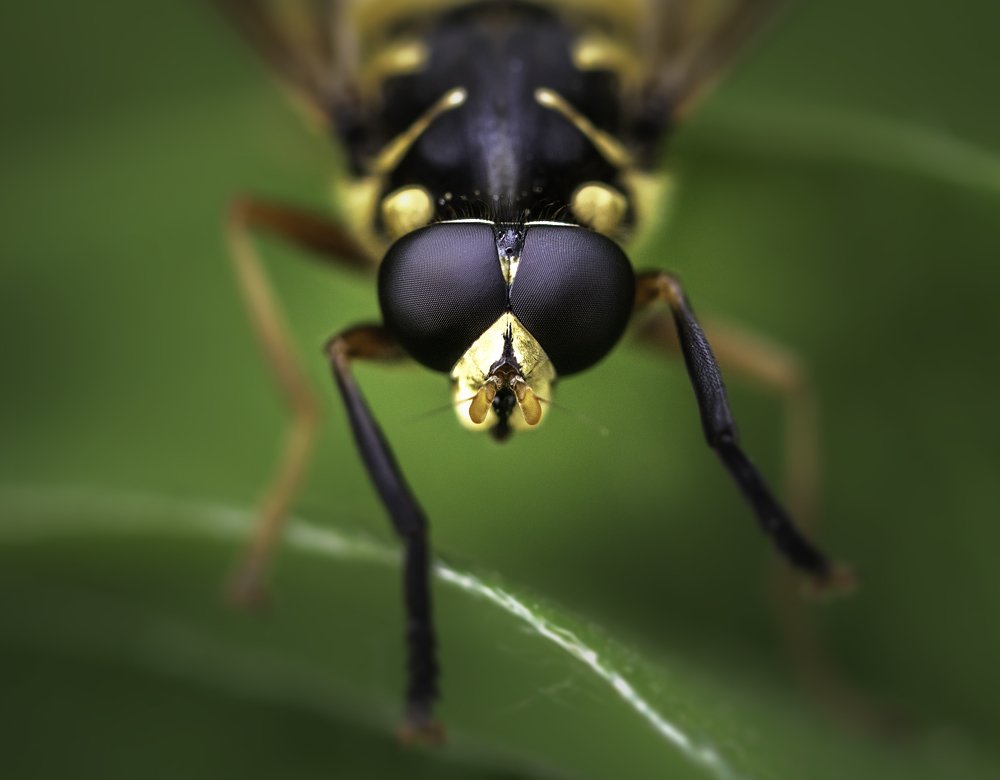 Photograph by Армен Майтесян