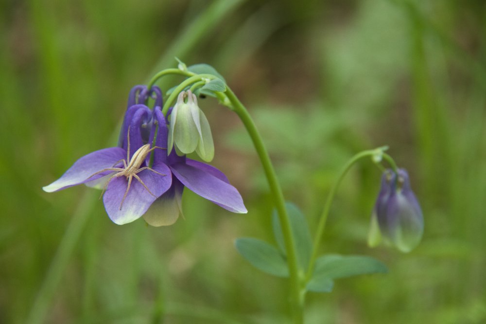 Photograph by Алёна Гильмуллина