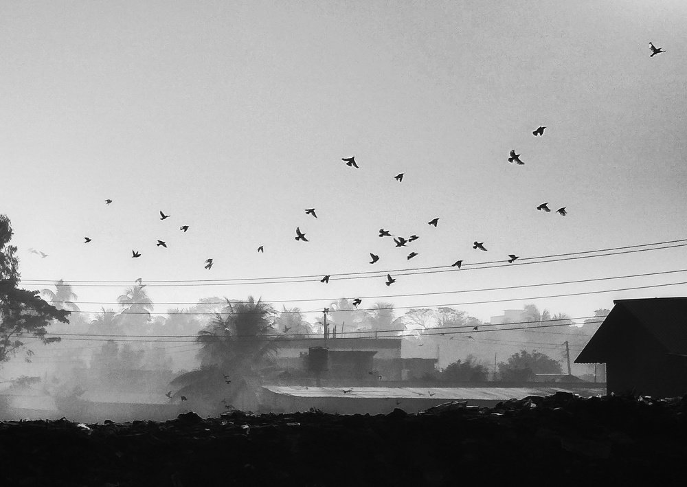 somewhere in my city