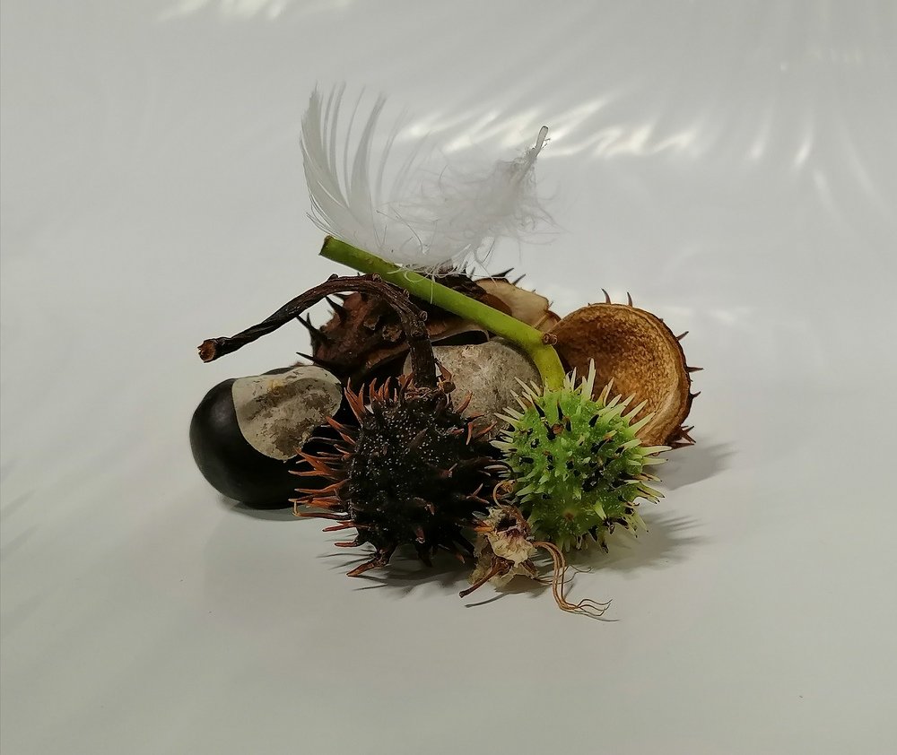 Натюрморт из каштанов