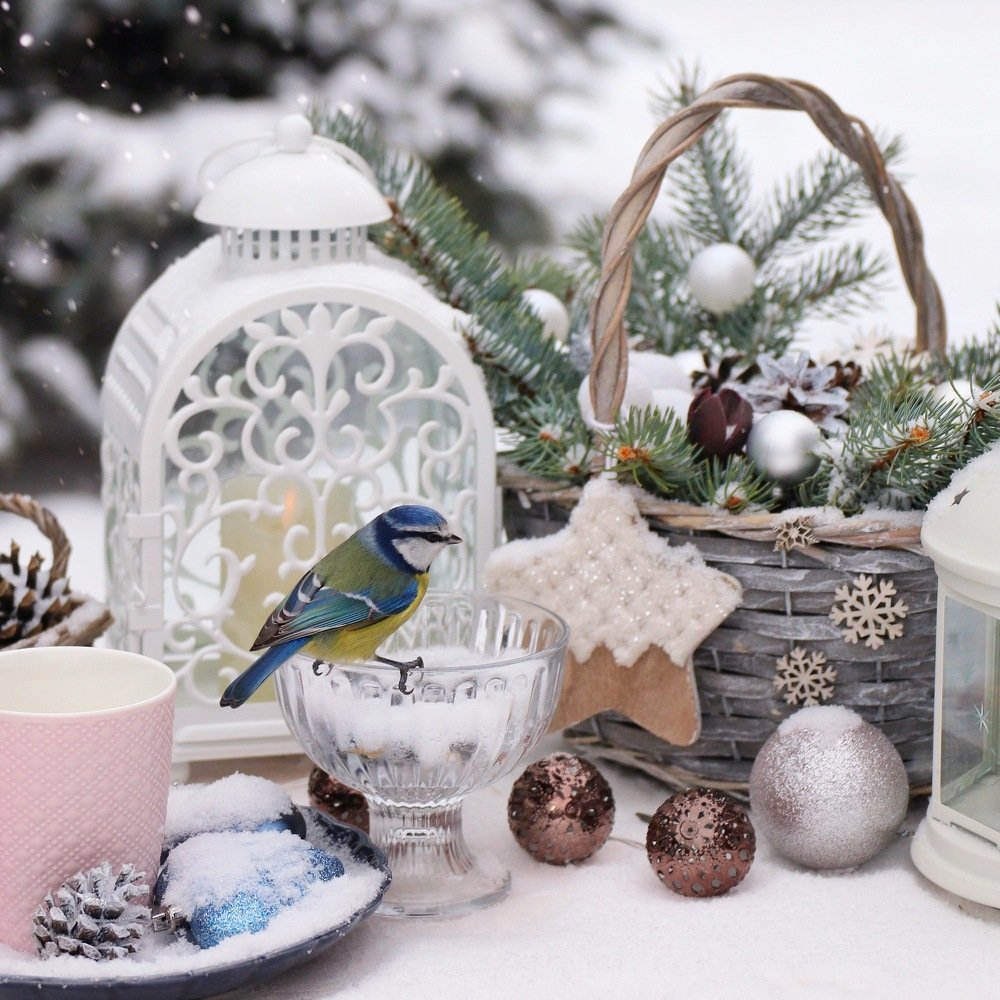 Зимний натюрморт