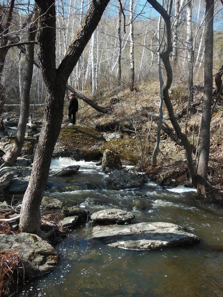 Тролльины слезы