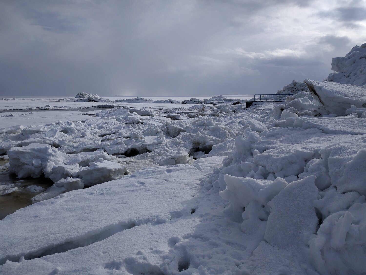 Photo #3305204