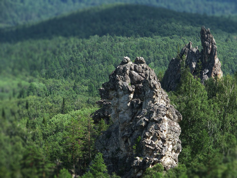 Башкирский мишка