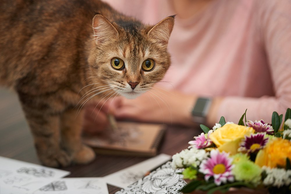 Photograph by Валерий