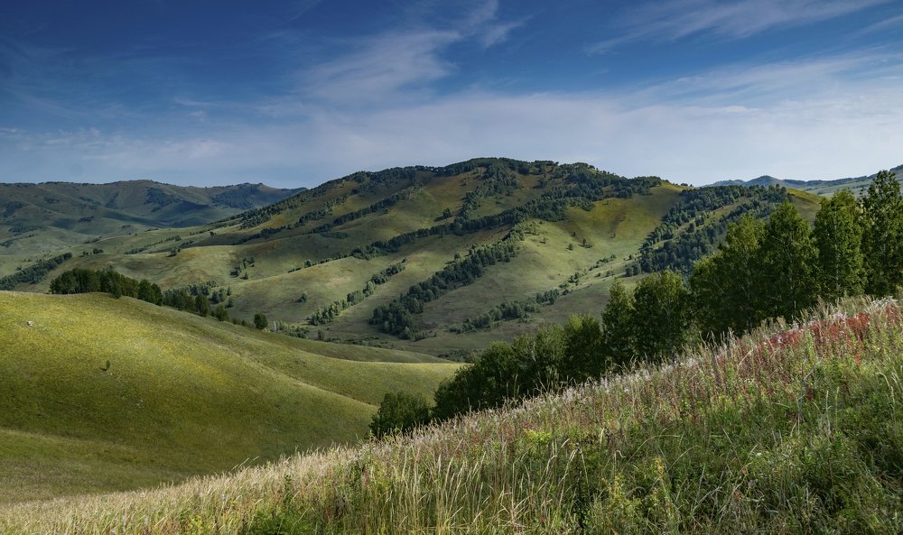 Плюшевые горы