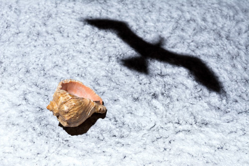 Photograph by Донцов Виктор