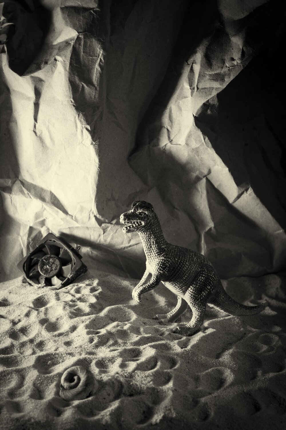 Photo #3306135