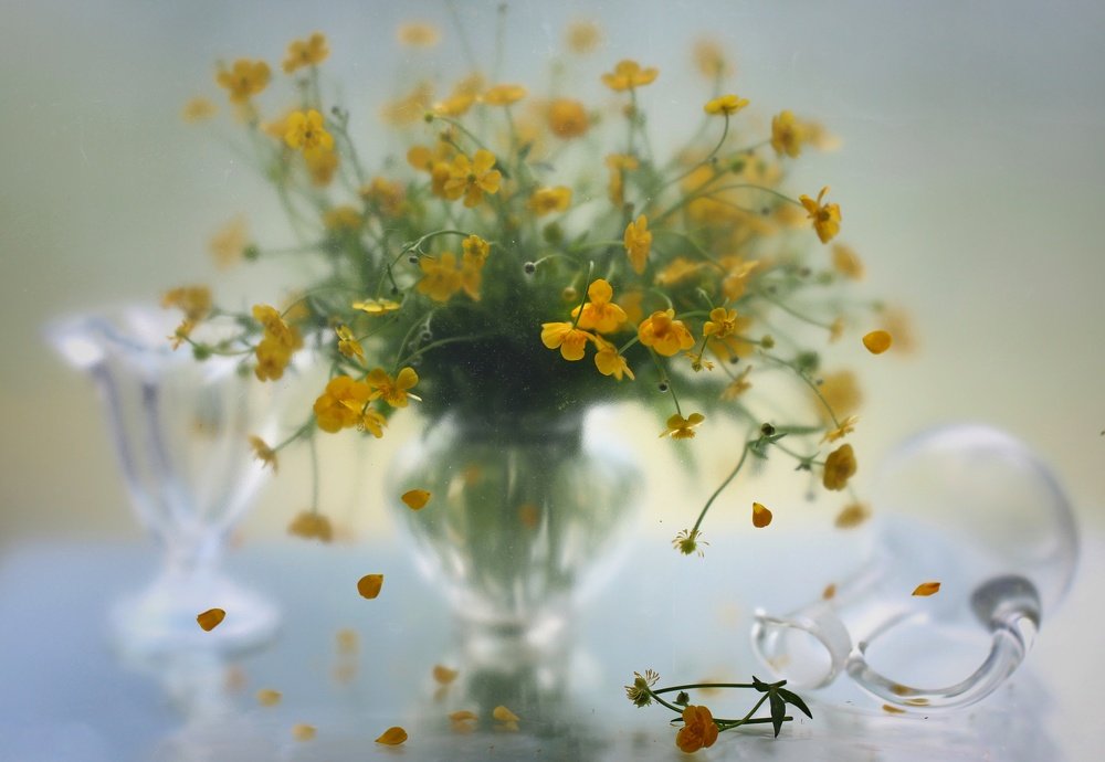 Жёлтое очарование...